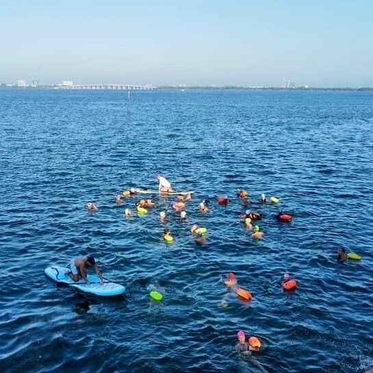 A large group of swimmers in open water, adorned with multicolored swim caps, practicing skills and learning techniques. A coach on an inflatable board oversees their practice, ensuring safety and guidance.